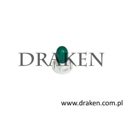 Żarówka przełącznika świateł przeciwmgielnych, podgrzewania foteli, TCS 900 NG, 9000 , 9-3, 9-5 1985-2010