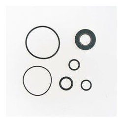 Zestaw naprawczy pompy wspomagania 900 1979-1993 SAGINAW z wałkiem 17mm