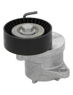 Napinacz paska alternatora...