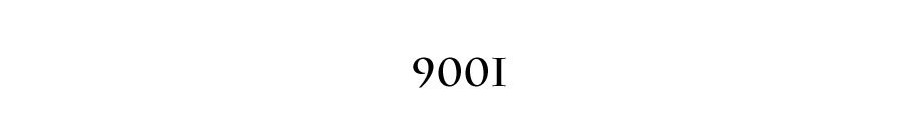 900 1979-1993